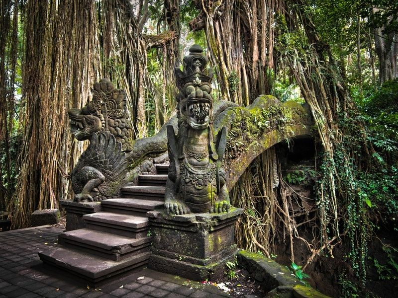 Bali - Ubud Monkey Forest