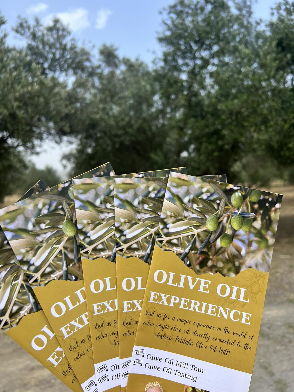 Stamatakis Olive Oil