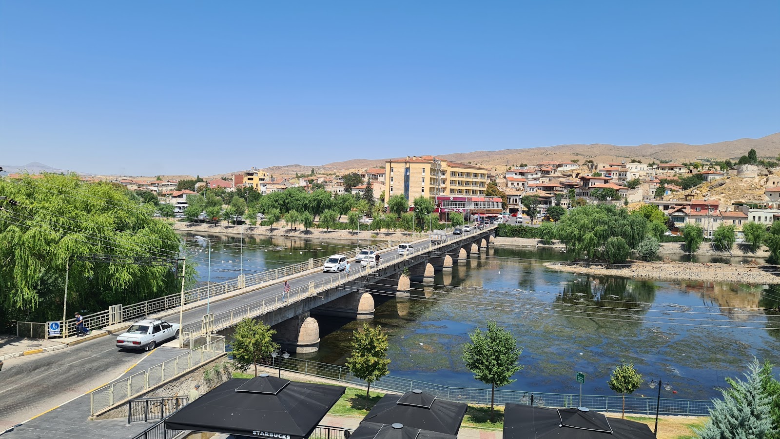 أفانوس