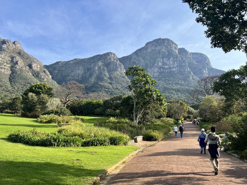 Kirstenbosch Botanik Bahçesi