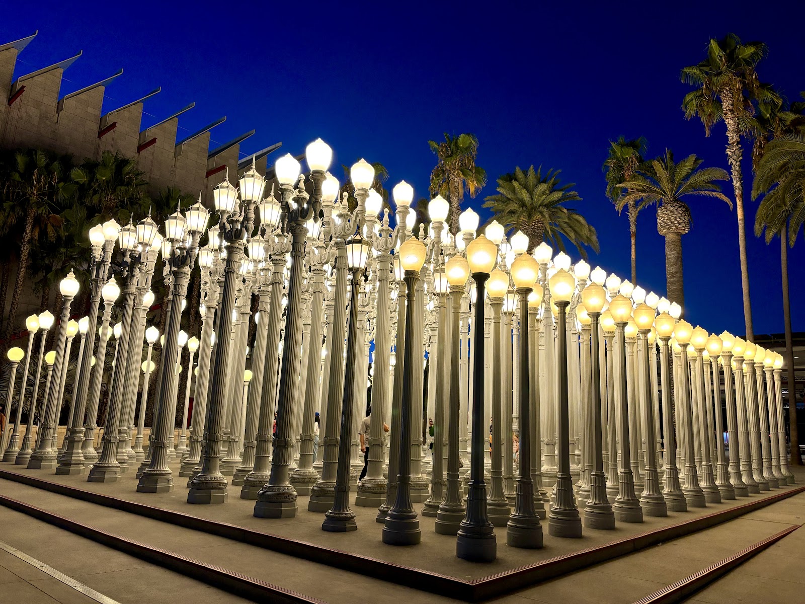 LACMA (Los Angeles County Museum of Art)