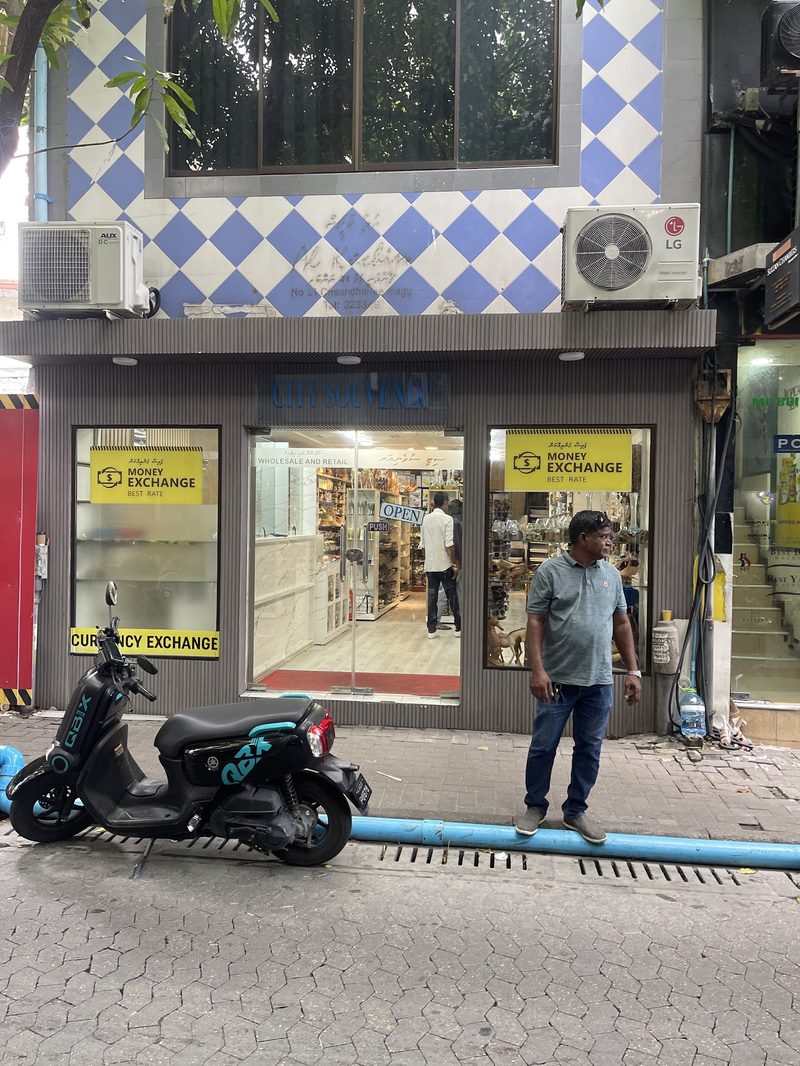 Chaandhanee Magu (Hediyelik Caddesi)