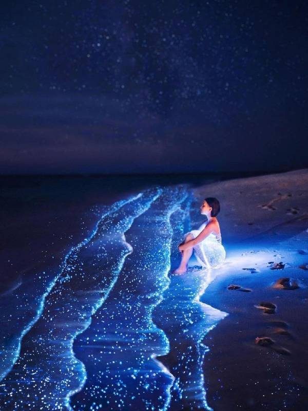 Vaadhoo Adası (Biyolüminesan Plankton)