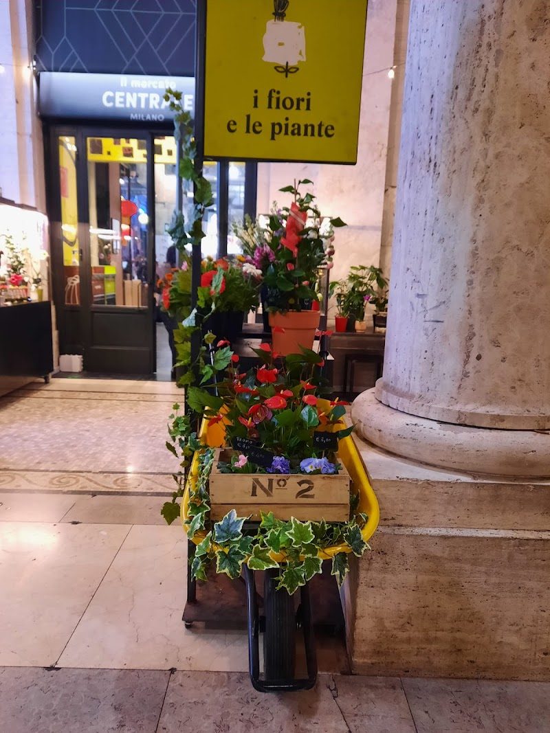 Mercato Metropolitano