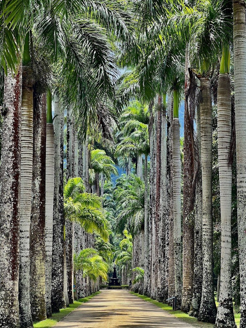 Jardim Botanico (Botanik Bahçesi)
