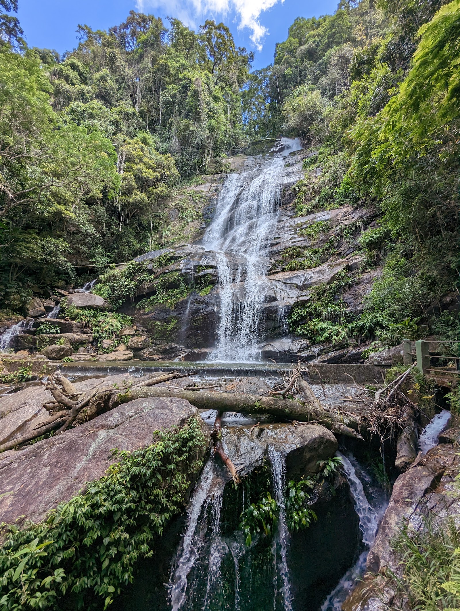 Tijuca Ormani (Floresta da Tijuca)