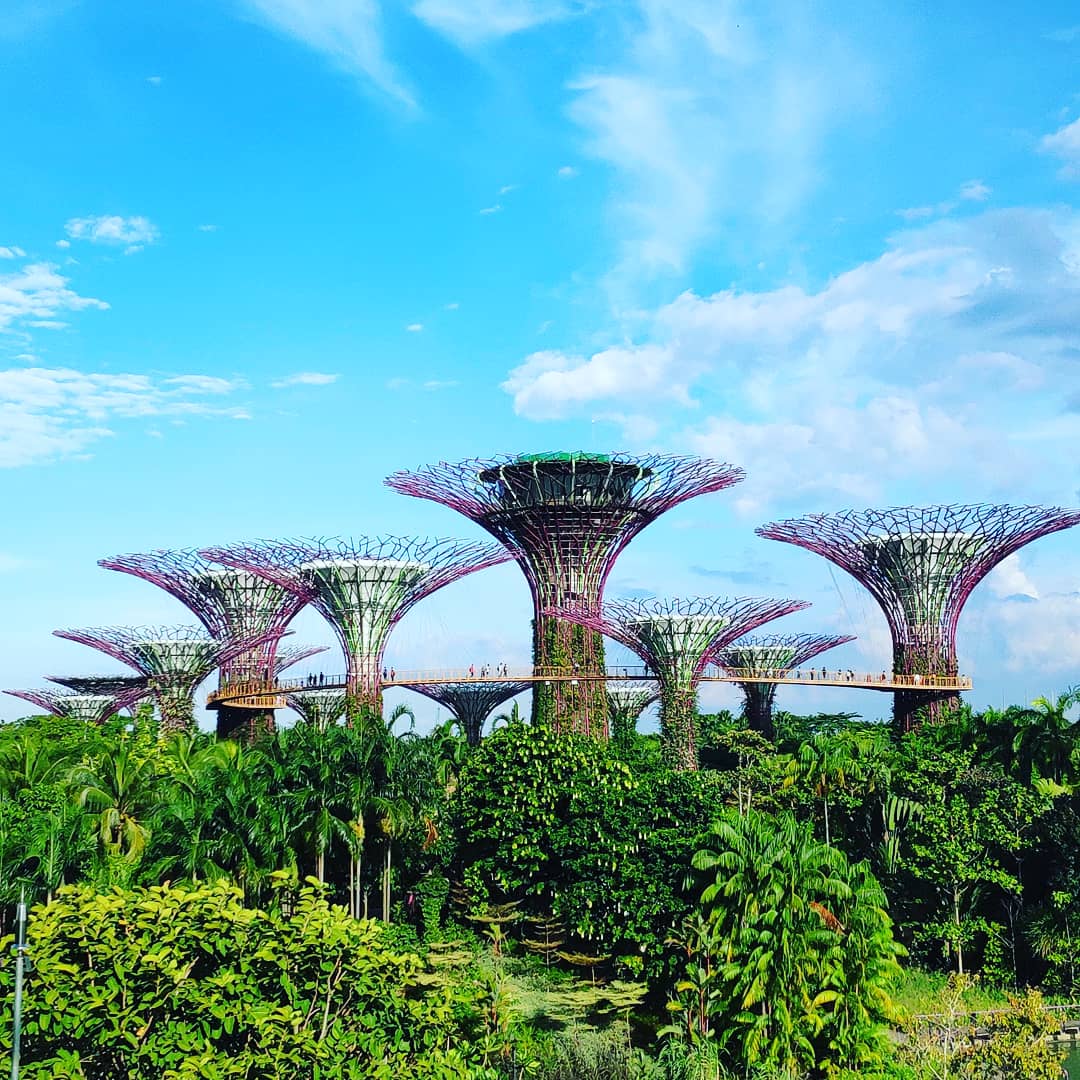 Singapur - Gardens by the Bay