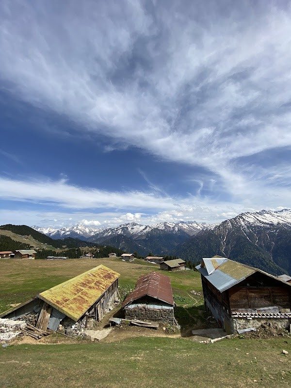 Ayder Yaylası (günübirlik)