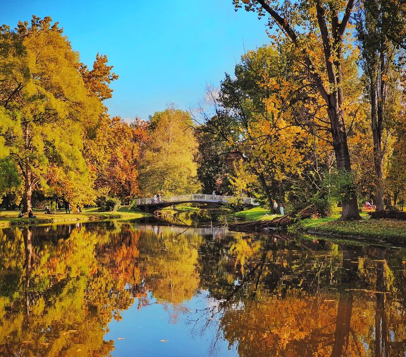 City Park (Gradski Park) Barları